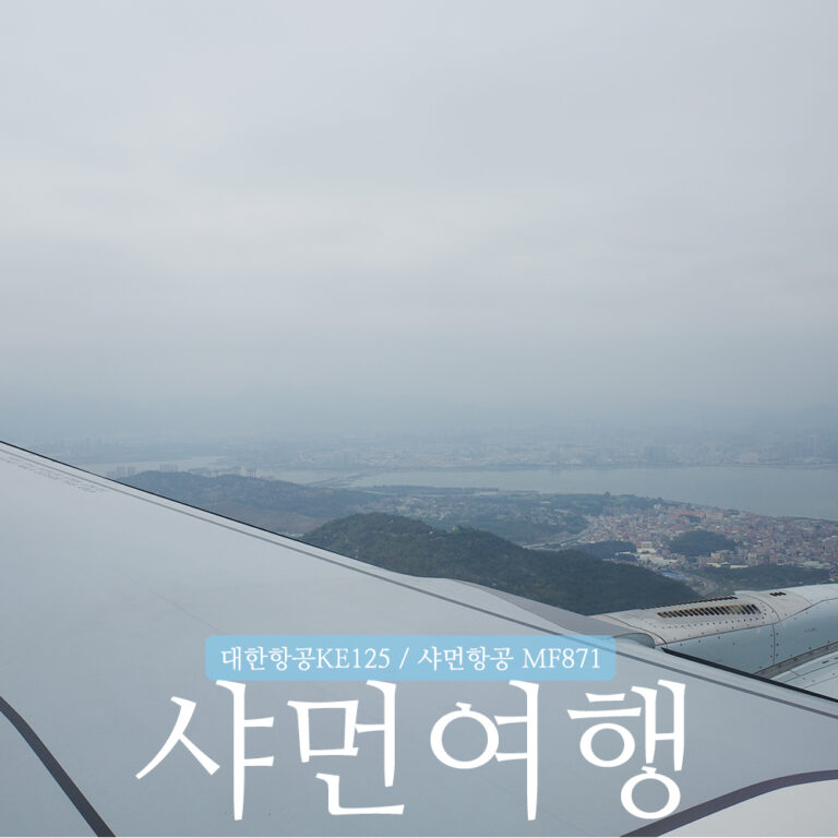 인천 샤먼 대한항공 KE125 탑승기와 기내식, 샤먼공항 디디 이용 후기