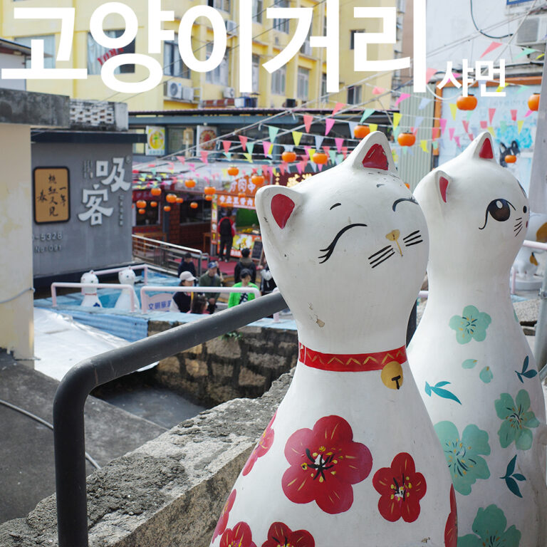 샤먼 고양이 거리 샤포웨이